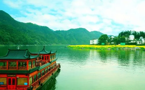 绿色精密绿色